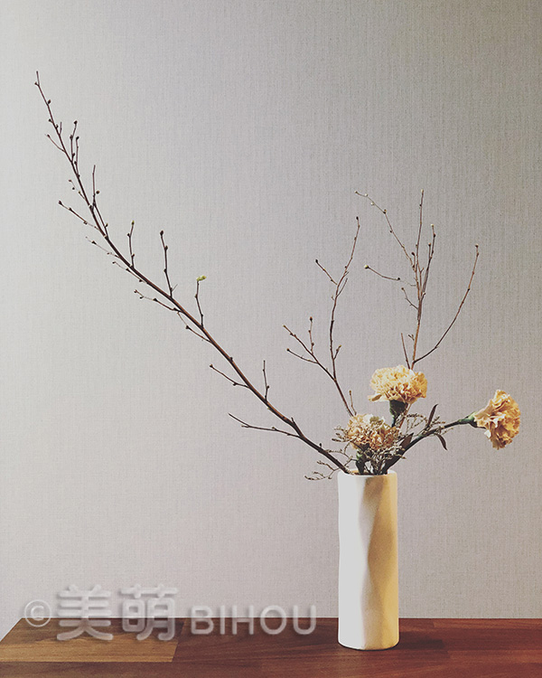 第一応用傾真型・投入　
花材：サンゴミズキ・カーネーション　
花器：陶器花器筒形　白